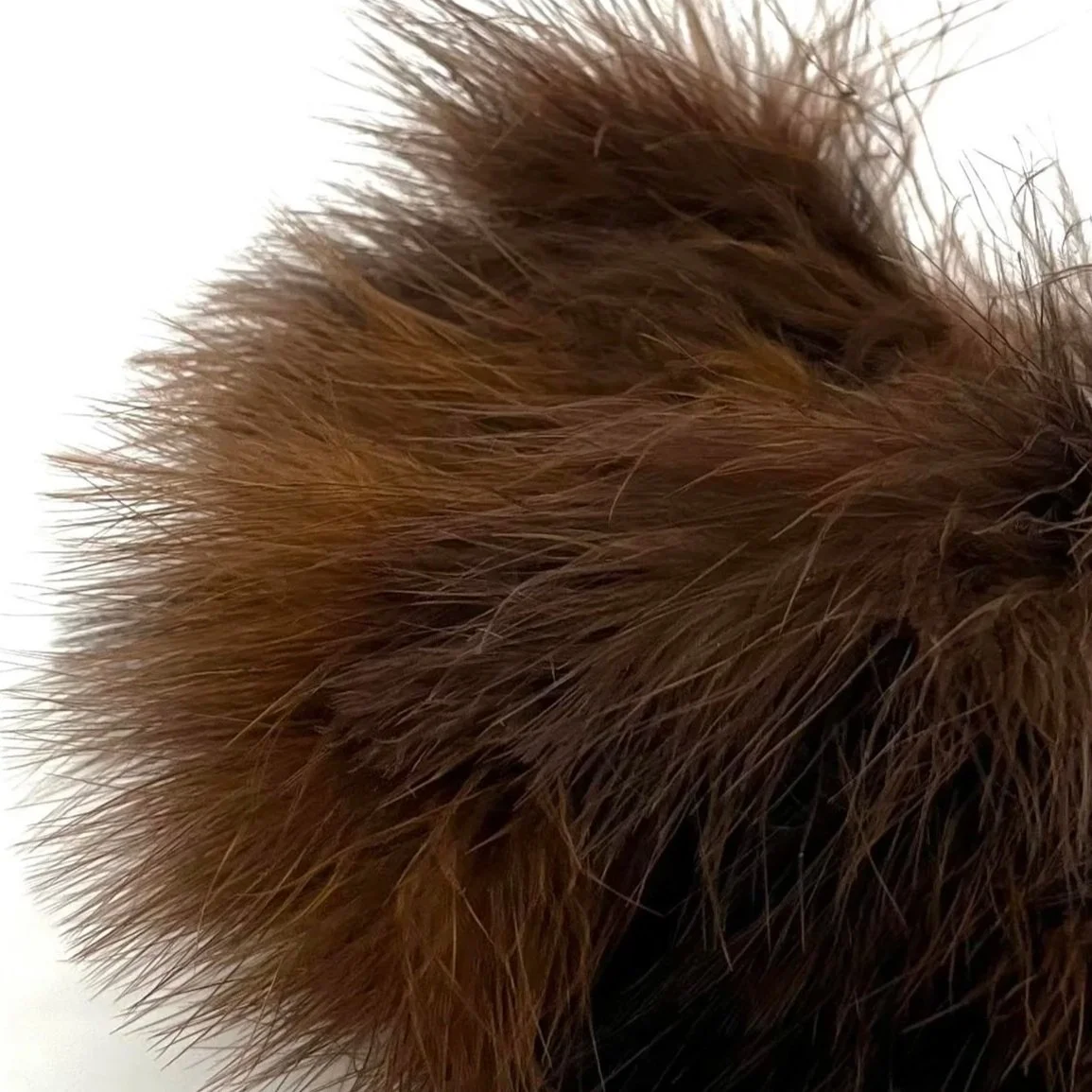 brown+uv.jpg