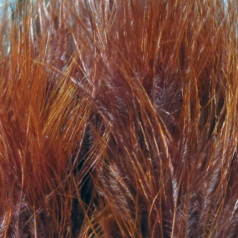 rusty brown.jpg