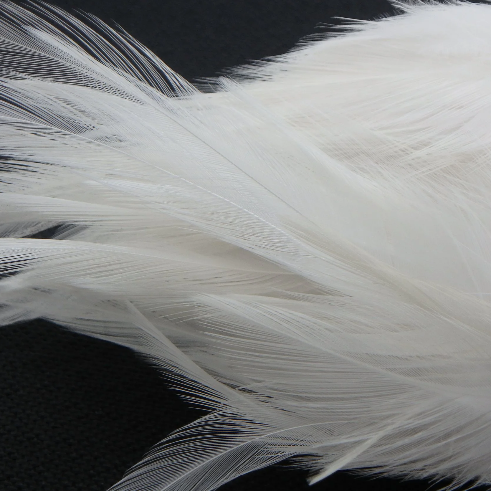 P4281410.png