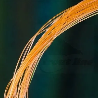 orange.jpg