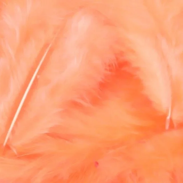 shrinp+pink.jpg