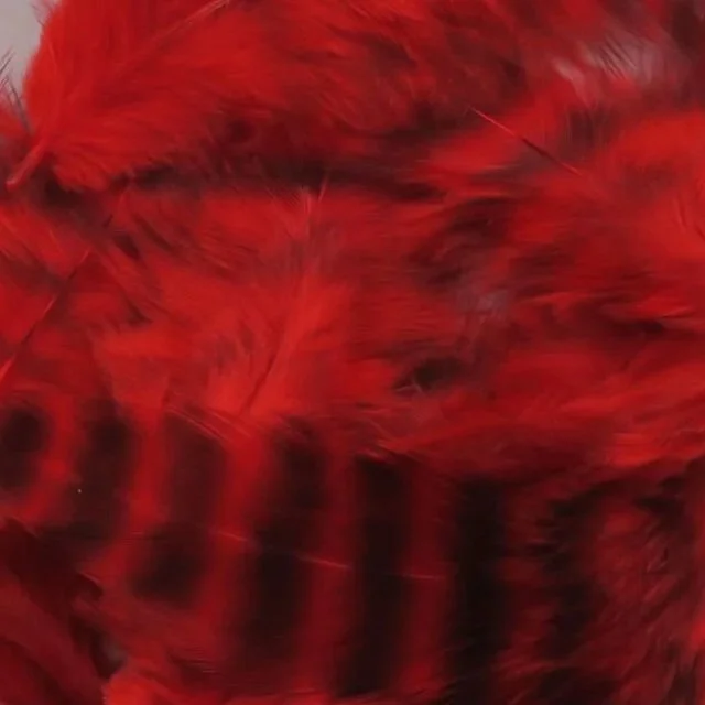 red.jpg
