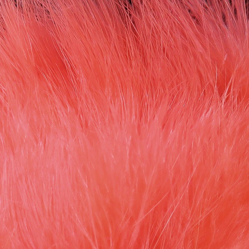 shrimp pink.jpg