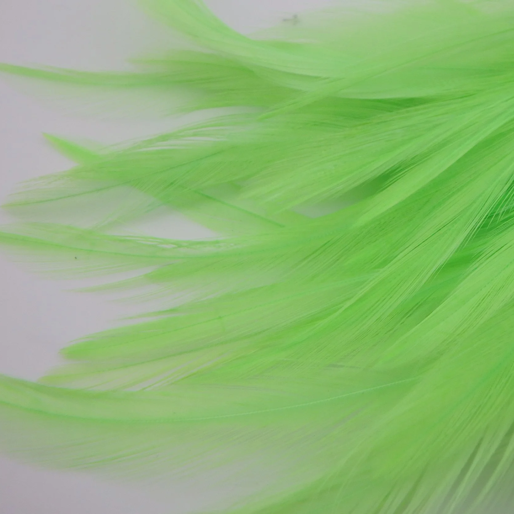 P4281401.png