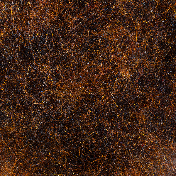 salmonfly.png