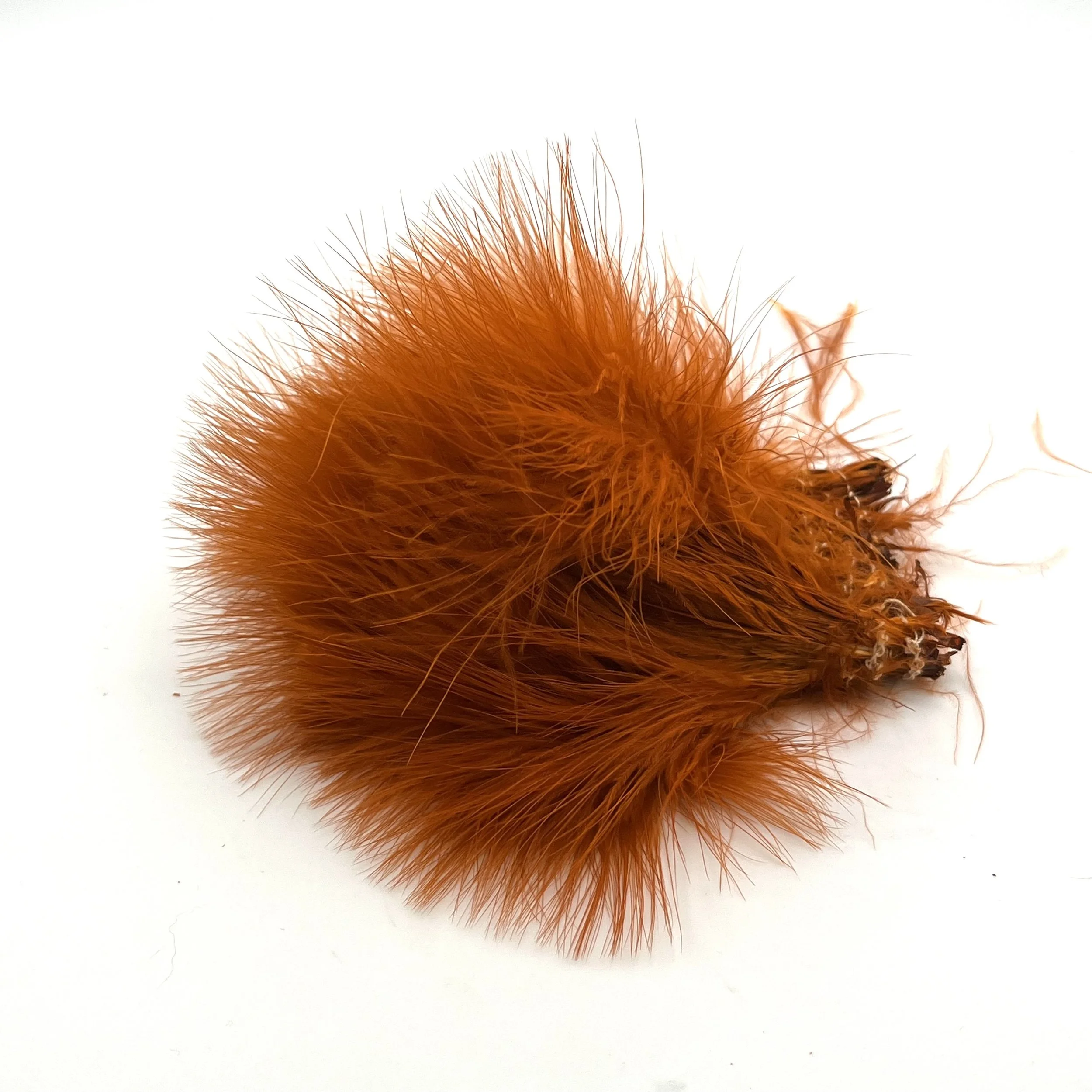 Crawfish Orange.jpeg