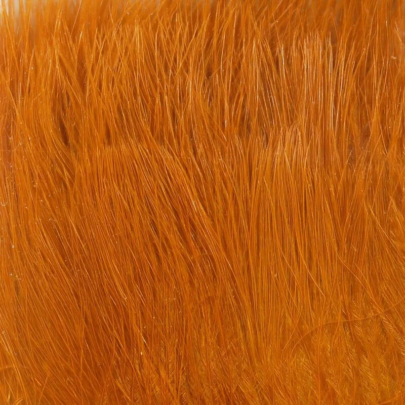 burnt orange.jpg