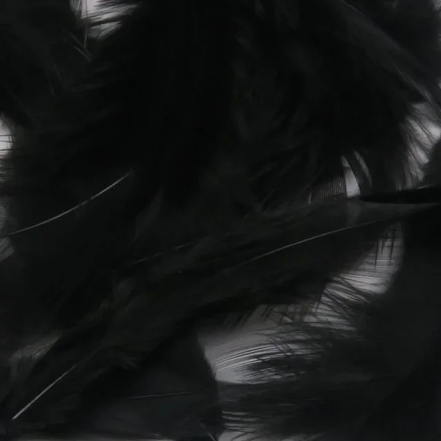 black.jpg