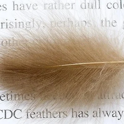 natural+brown.jpg