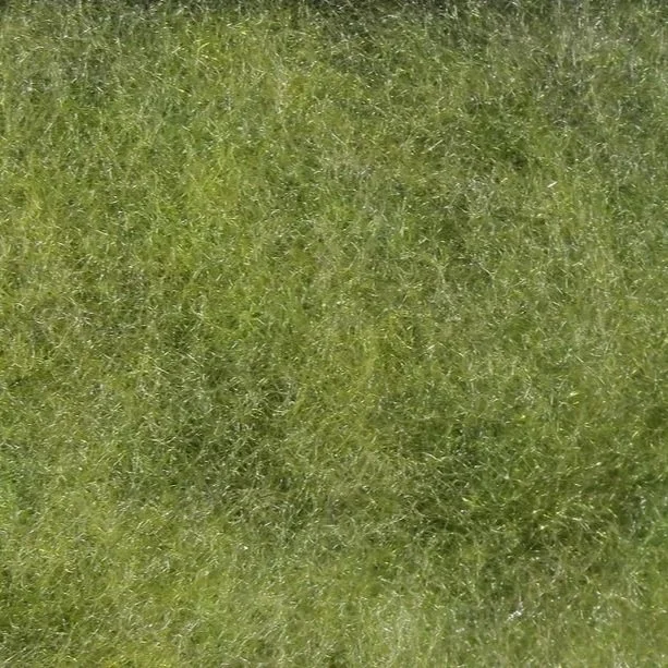 gray+olive.jpg