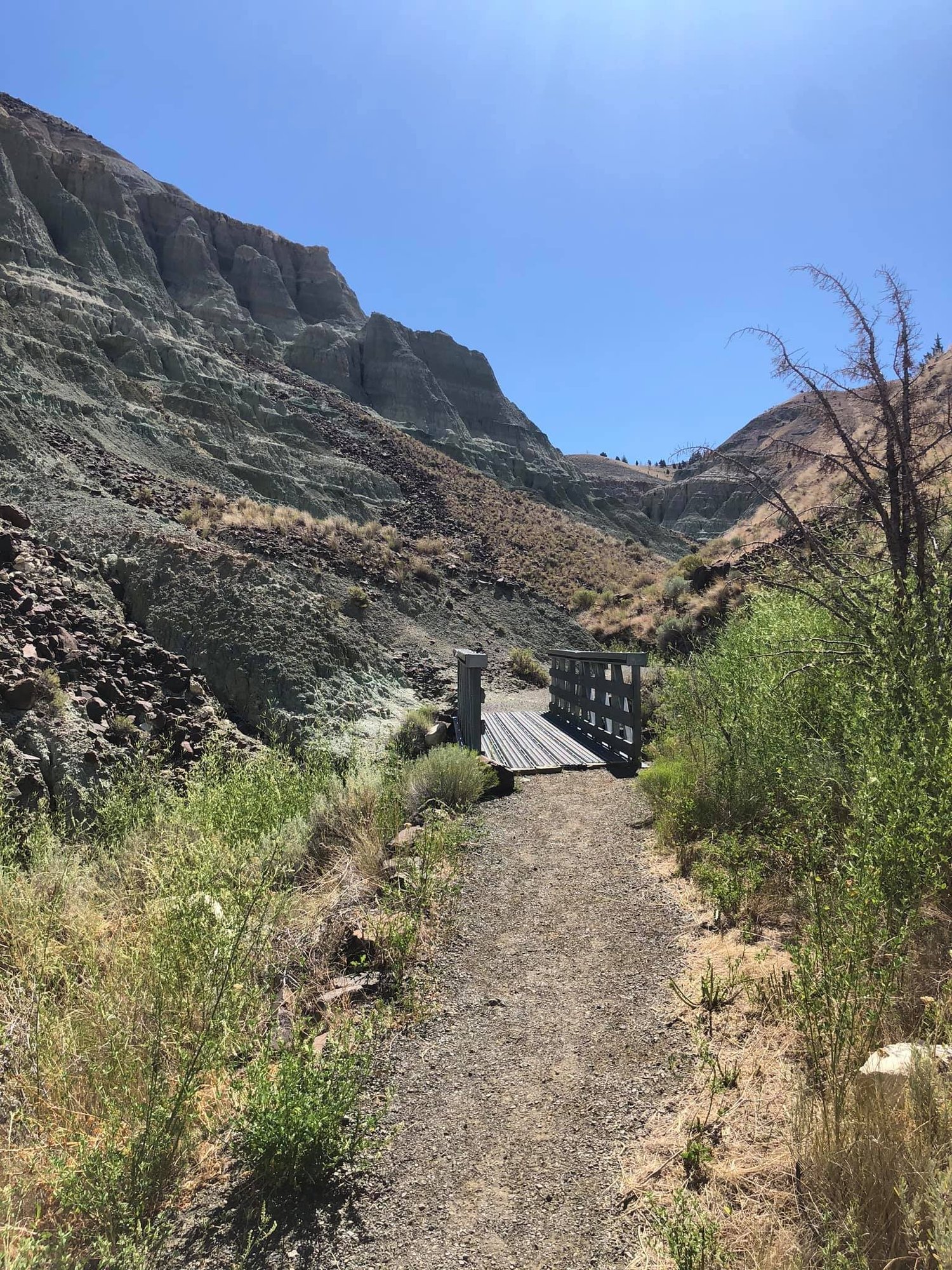 Gallery — Longview Ranch
