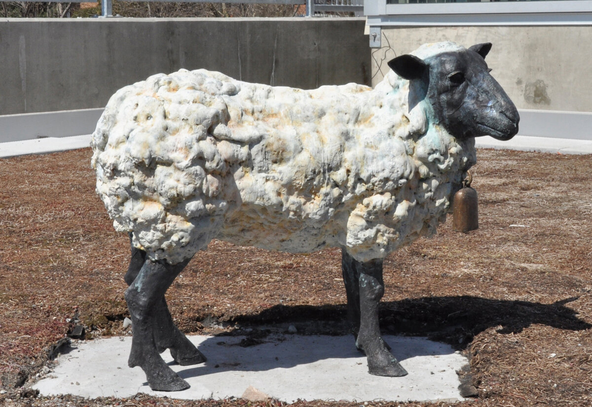 _02 Bellwether Bronze 1 of 5 2011 .jpg