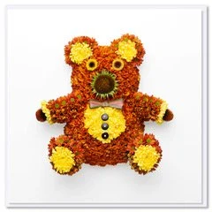 Chrysanthemum Teddy Card