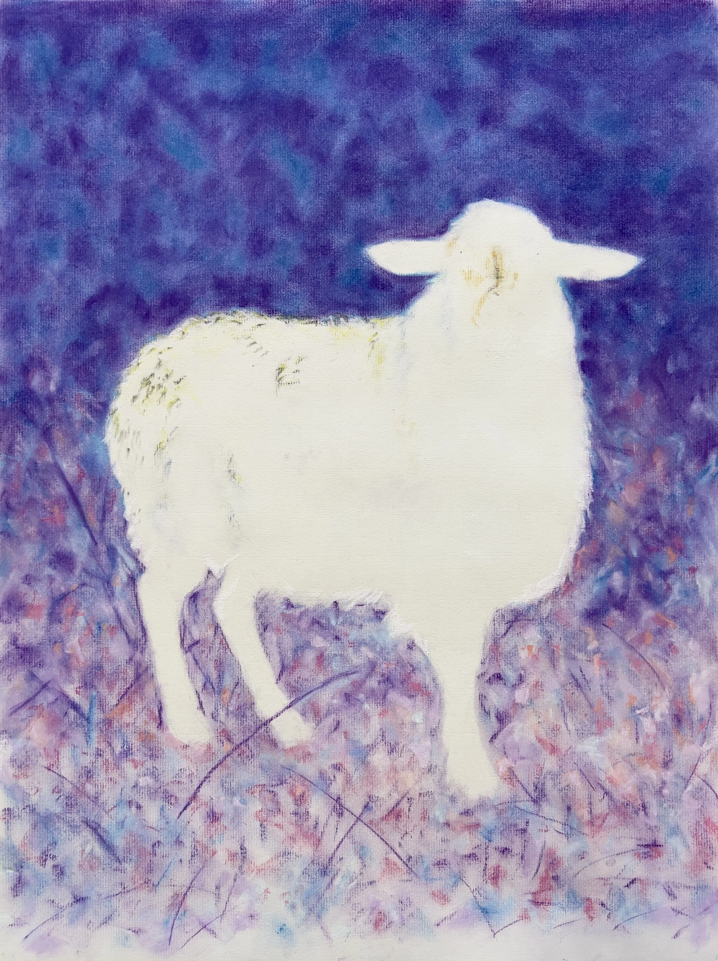 Negative Black Sheep, pastel on paper, 24" x 18"