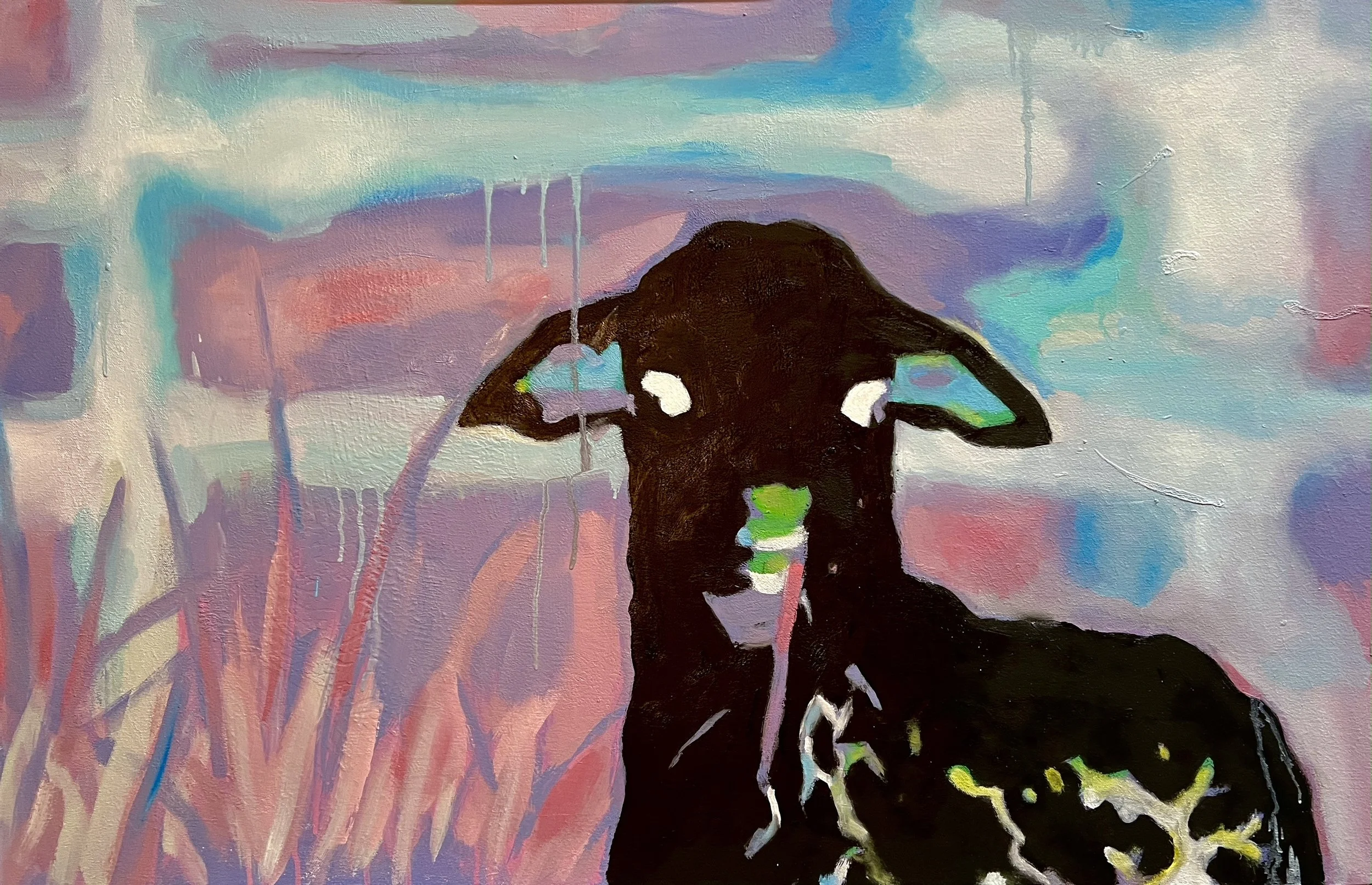 Negative Sheep (white fence), oil on canvas, 24" x 36"