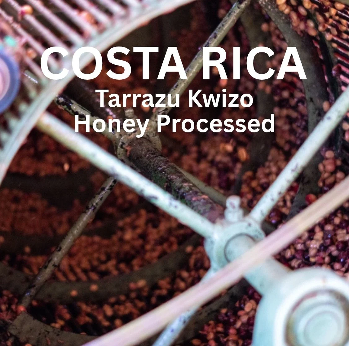 COSTA RICA.jpg