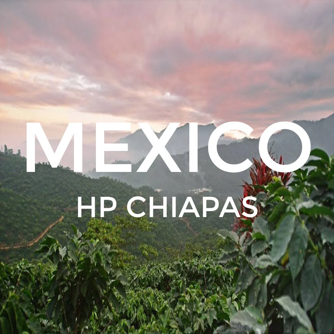 mexico chaiaspsas.jpg