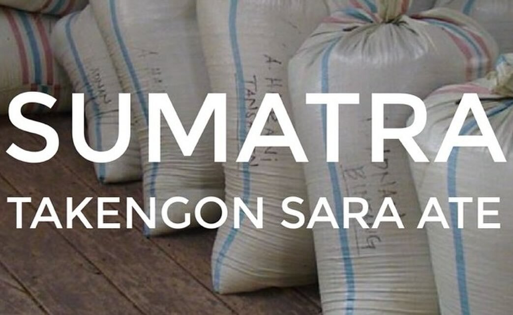 The Sumatra Takengon GR1 DP PT IKA is sourced from the Jagong Mill and surrounding family-owned farms located in the Takengon and Atu Lintang coffee region of Aceh province on the island of Sumatra, Indonesia. 

Irham Junus owns and operates the Jago