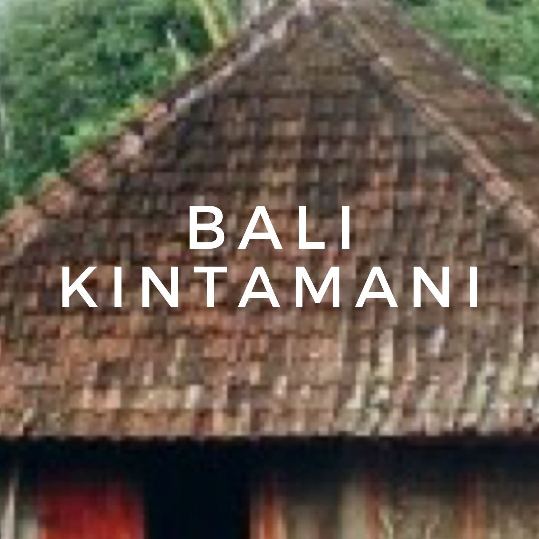 BALI KINTAMANAI IS BACK IN! 

The eruption of the Gunung Agung Volcano in 1963 caused a delay in the progress of modern-day coffee cultivation in Indonesia, causing the government to enact programs in the 1970&rsquo;s and 1980&rsquo;s to help rejuven
