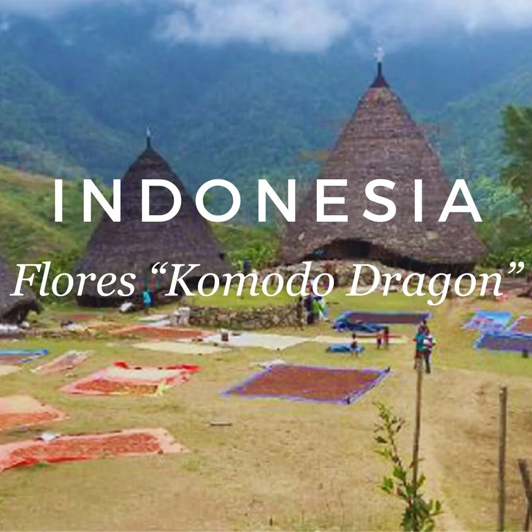 The island of Flores was first discovered by the Portuguese in the early 15th century. The Ngada district is where most coffee is grown, located on the slopes of the Inerie Volcano. 

Within Ngada, coffee is grown on an estimated 6000 hectares of whi