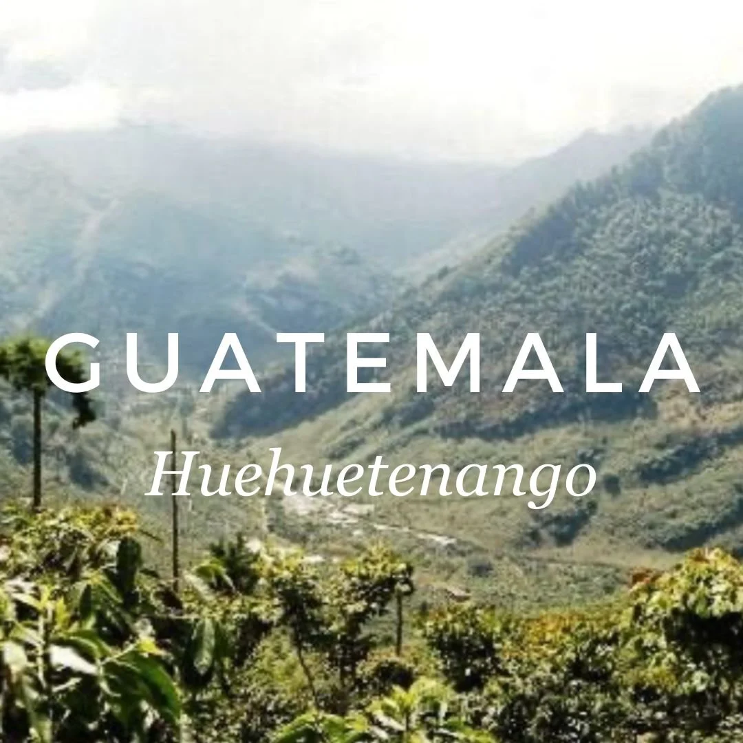 MIDDLE AMERICA FEATURE: Guatemala HueHuetenango (WAY-WAY ten-ango).

Certifications: Fair Trade, Organic 

Elevation: 1650 

Varietals: Bourbon, Caturra 

Milling Process: Fully Washed 

Drying Process: Patio and solar dried machine 

Acidity: Low 


