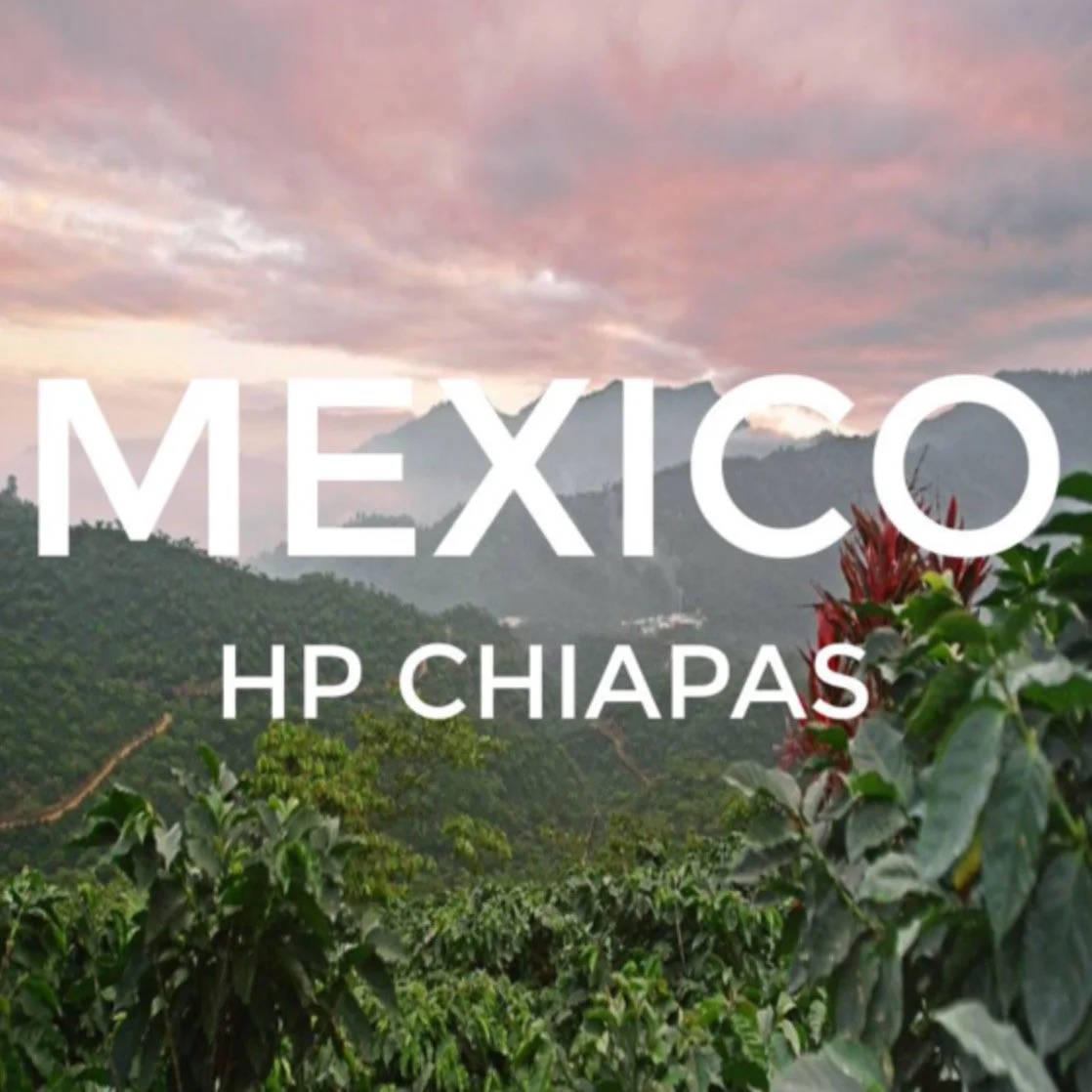 This week&rsquo;s coffee feature is another Middle American coffee: MEXICO CHIAPAS Everyone at 19 knows that it&rsquo;s Ellen&rsquo;s favorite. Mex is smooth and chocolatey.

This lot is sourced from the southern state of Chiapas, Mexico, where the m