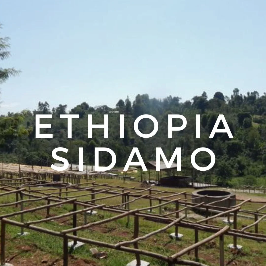 Ethiopia Sidamo Nura Korate