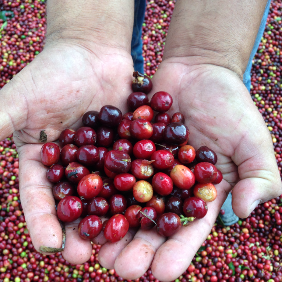 Screenshot 2025-11-13 at 11.39.21 AM.png