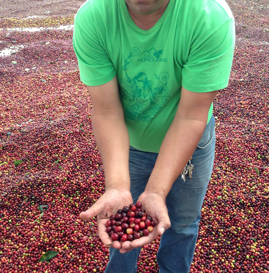 Screenshot 2025-11-11 at 1.42.55 PM.png