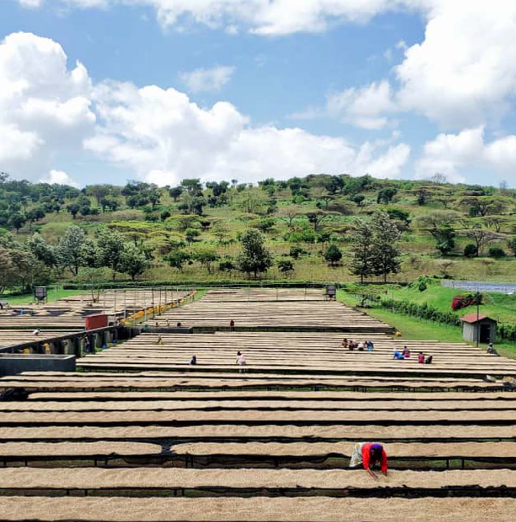 Screenshot 2026-02-25 at 4.11.09 PM.png