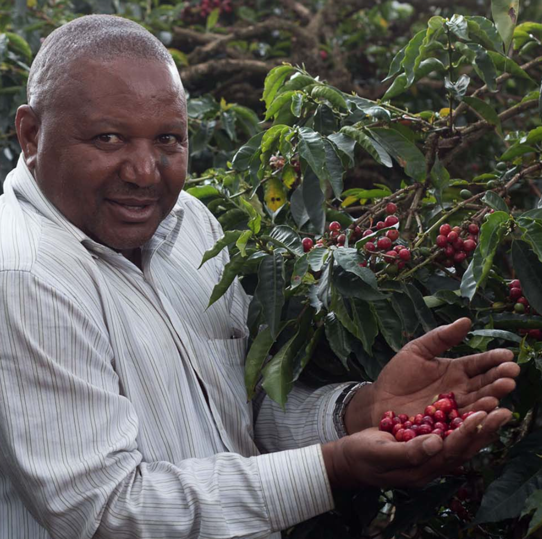 Screenshot 2026-02-25 at 4.10.55 PM.png