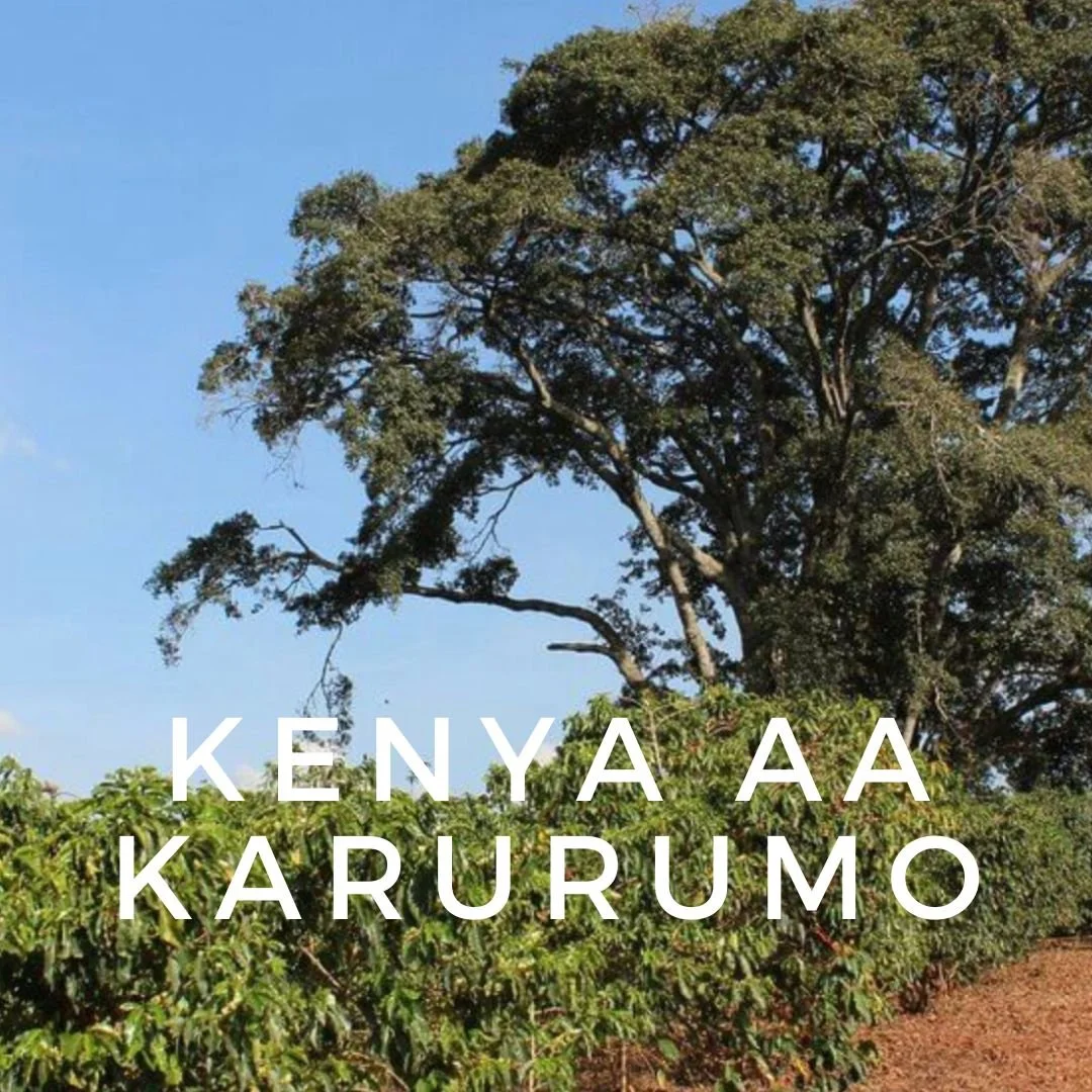 kenya.jpg