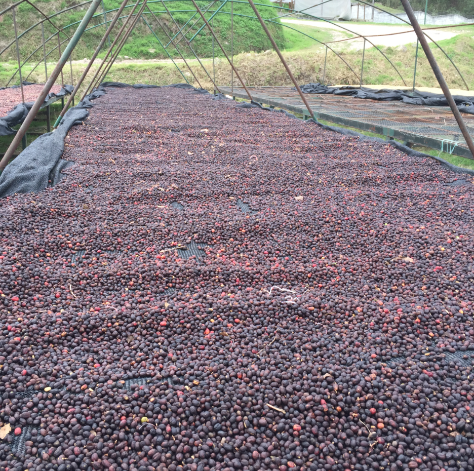 Screenshot 2025-11-13 at 11.39.43 AM.png