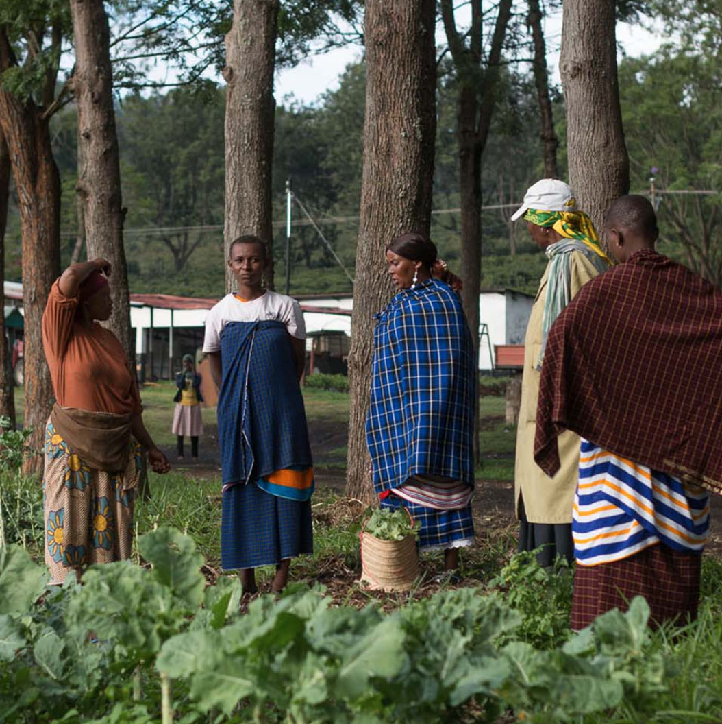 Screenshot 2026-02-25 at 4.11.49 PM.png