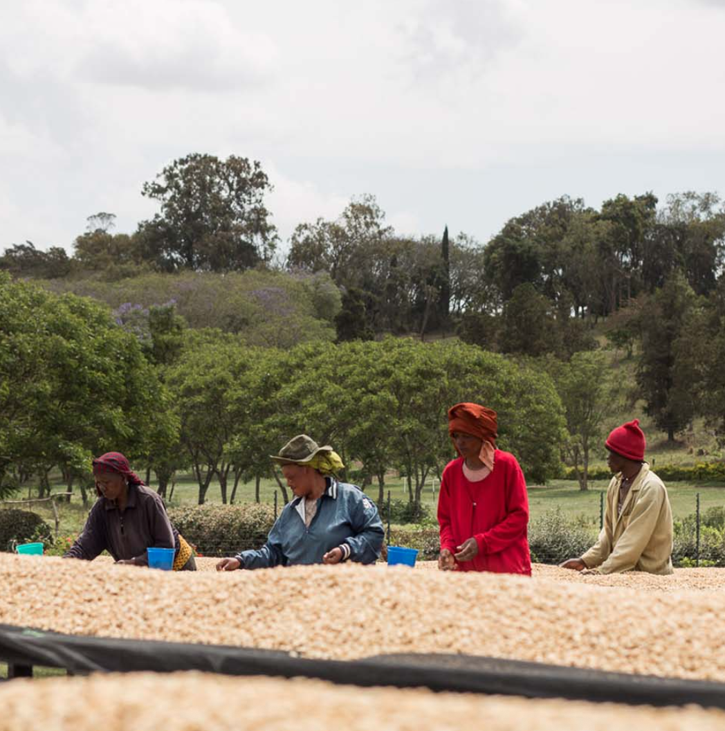 Screenshot 2026-02-25 at 4.11.35 PM.png