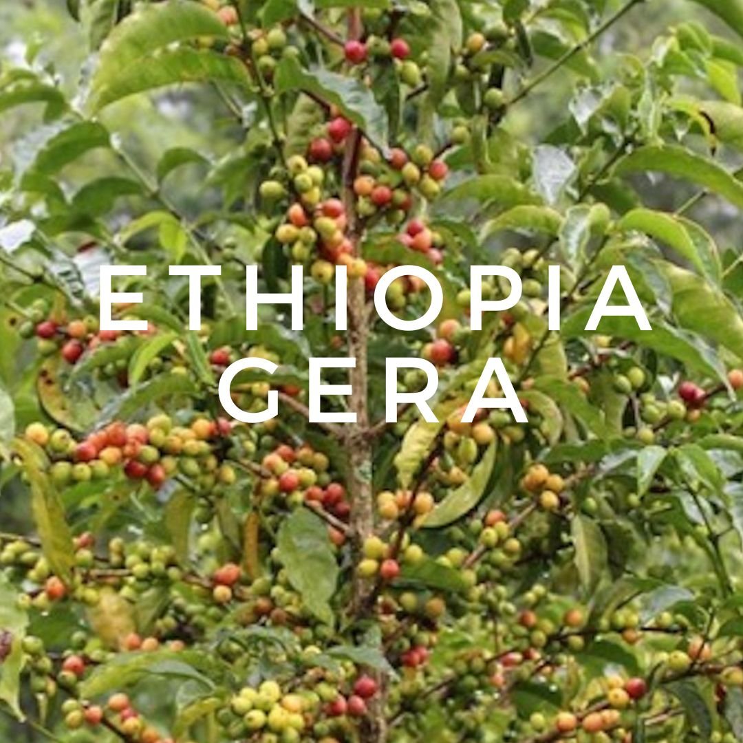 ETHIOPIA GERA