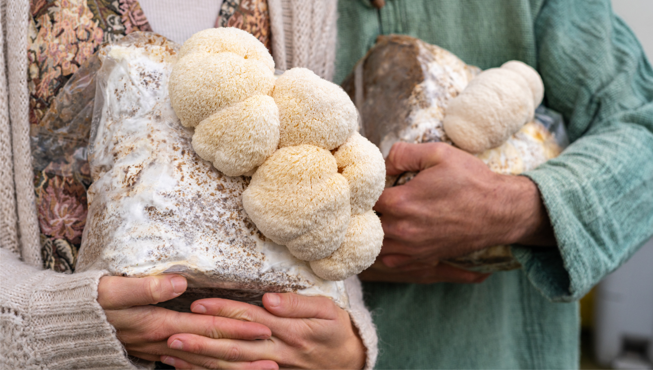 The Health Benefits of Growing Your Own Mushrooms
