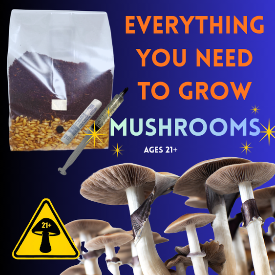 Adult Grow Kits