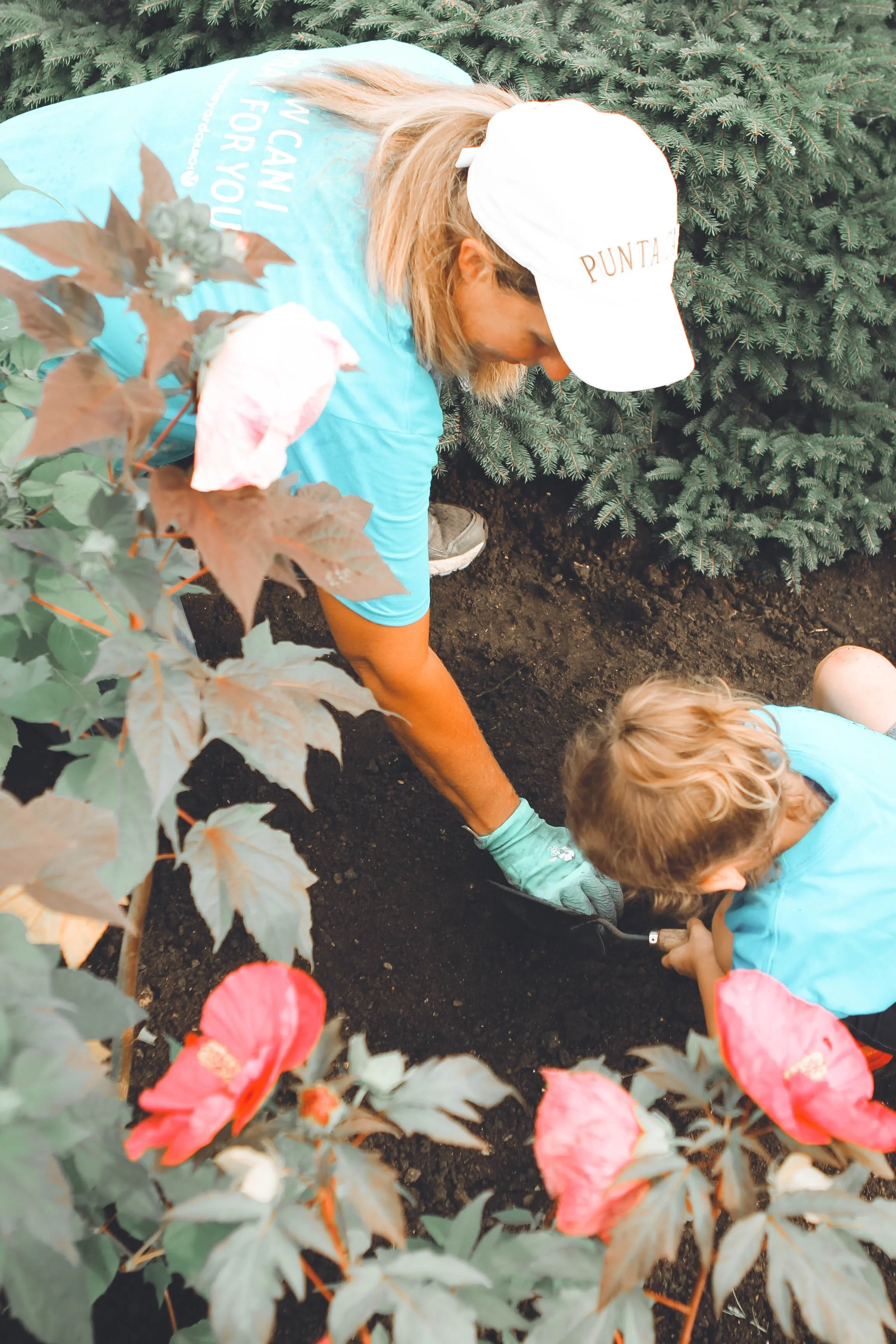 Non-profit planting.jpg