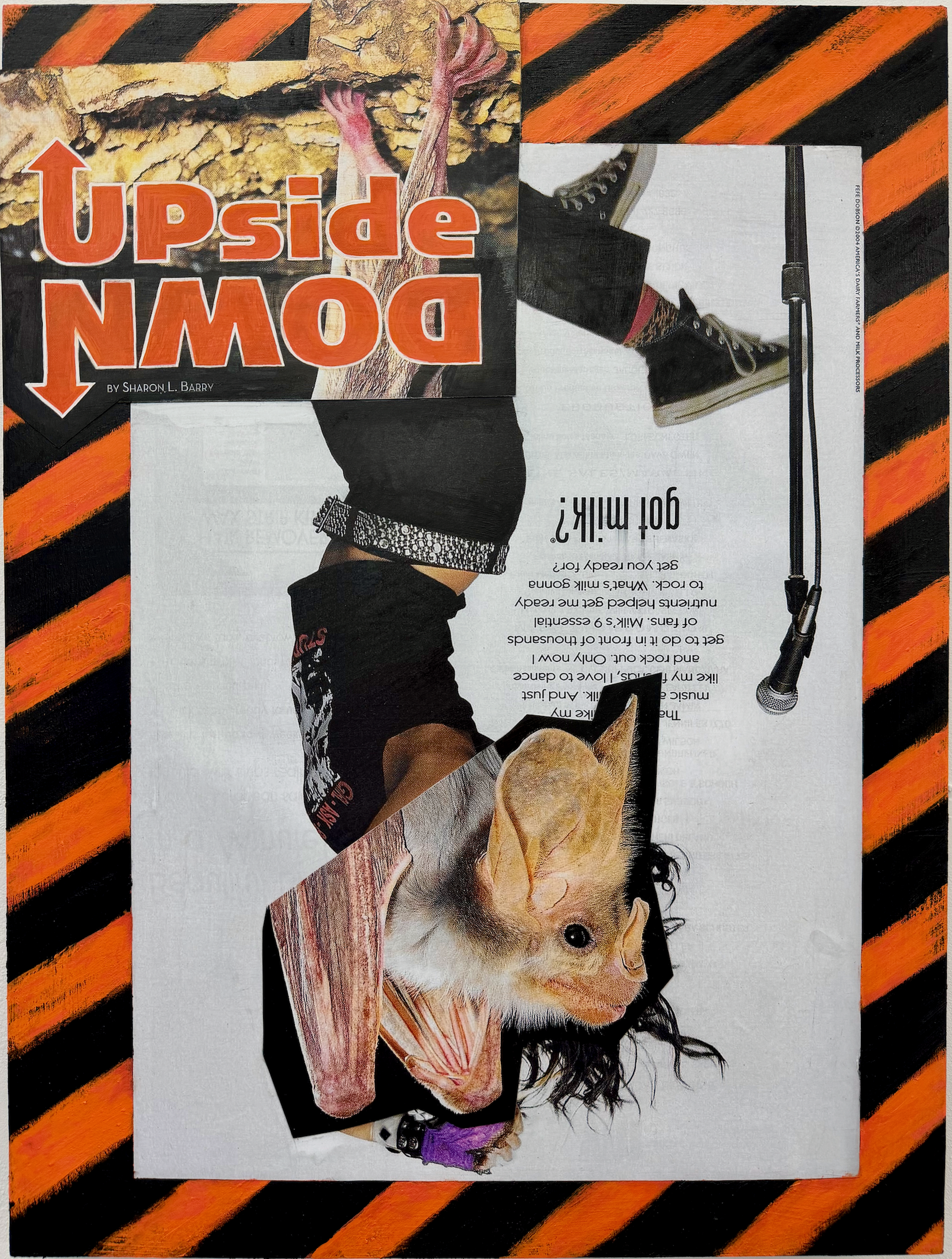 IMG_6537.png