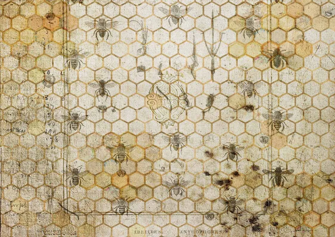 The Honeycomb.png