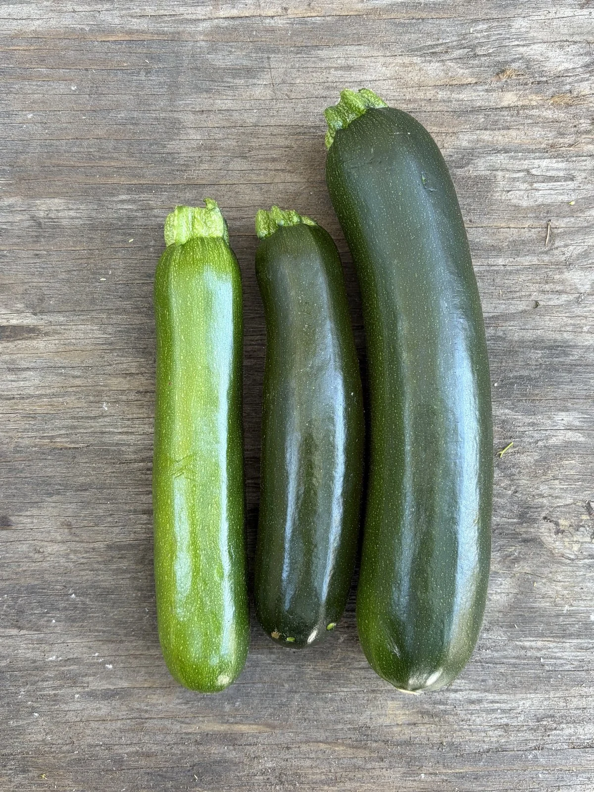 zucchini.jpg