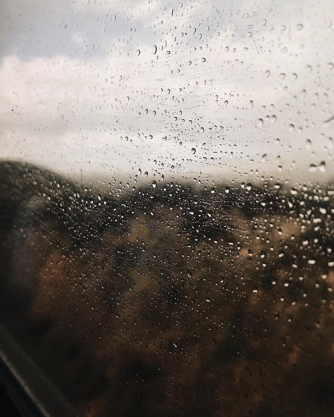 I have always wanted to hop on a train and stay on it for miles and miles and hours and days and I knew the romantic idea of it would not match the reality but I finally did it anyway.
Seattle to LA!
A lonely ride of 35 hours but I’m glad I wen