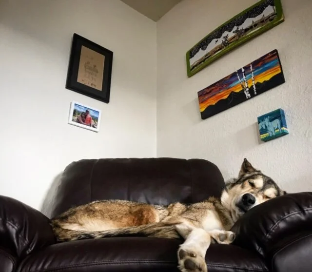 Dog Day Care and Boarding in Leadville, Colorado — Mountain dog romp n