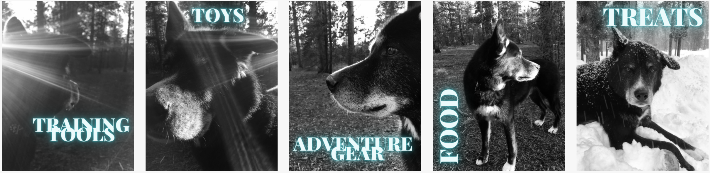 Food & Treats — Mountain dog romp n chomp