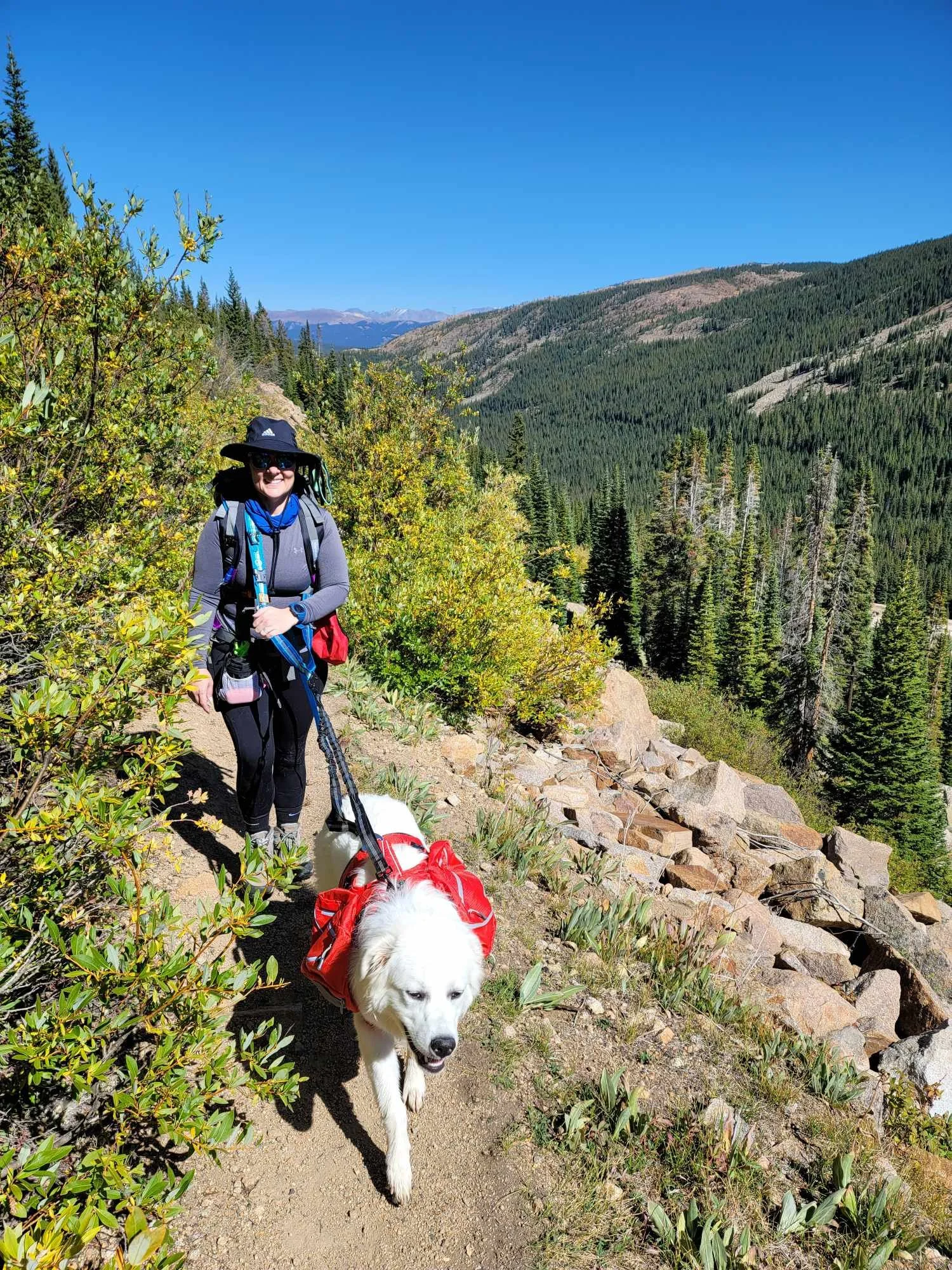 About Mountain Dogs Leadville, CO's best comingled doggie daycare