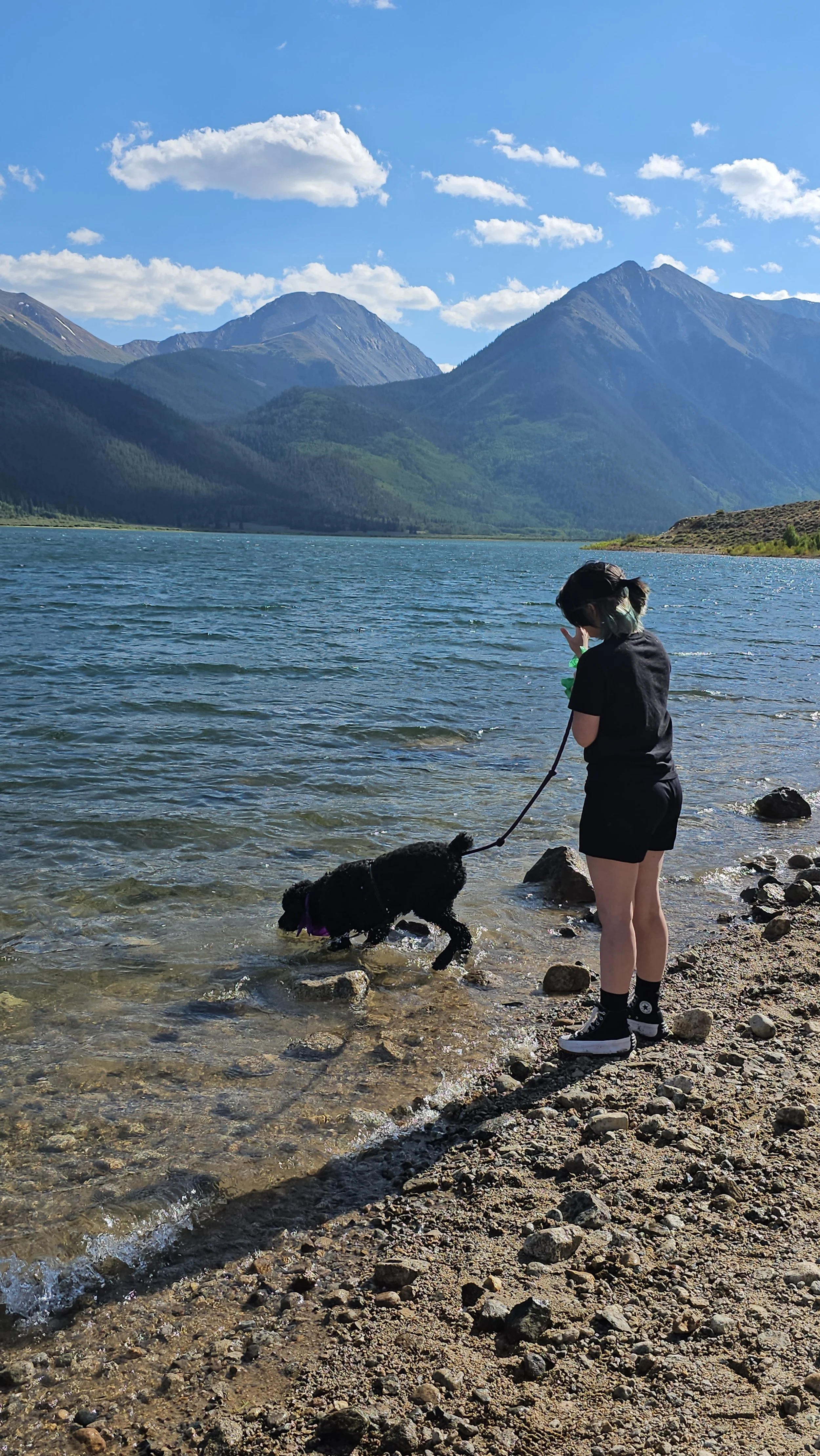 About Mountain Dogs Leadville, CO's best comingled doggie daycare