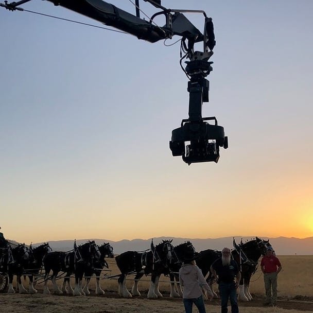 This Bud's for you. #clydesdales #tvcommercials #cinematographer #visualeffects #memorablemoments