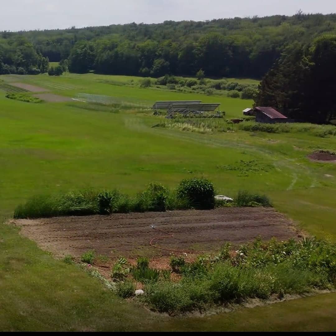 Dancing Bear Farm Figfest 2021 #capitalcinemaproductions #farmlife #aerialphotography