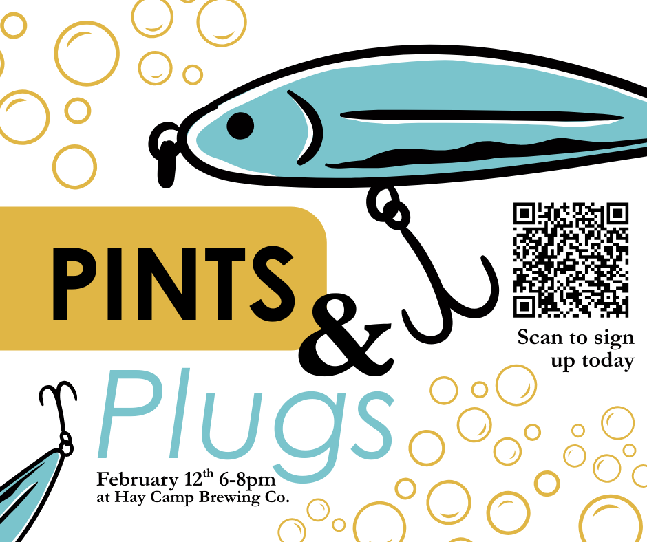 Pints &amp; Plugs